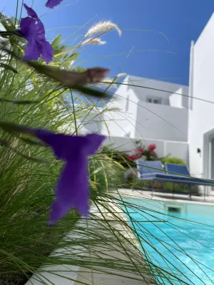 Nikki Beach Resort & Spa Santorini Benessere e tempo libero Photos