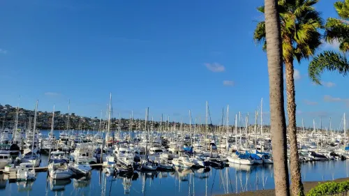 Best Western Plus Island Palms Hotel & Marina Public Areas Photos