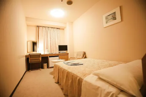 Narita U-City Hotel Phòng Photos