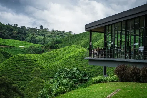 Madani Hotel Cameron Highland Photos