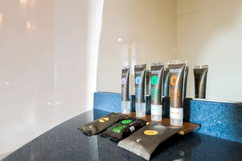 Novotel Suites Paris CDG Airport Villepinte Chambres Photos