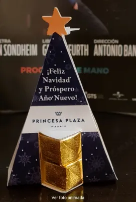 Hotel Princesa Plaza Madrid Photos