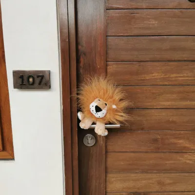 The Funny Lion - Coron Chambres Photos