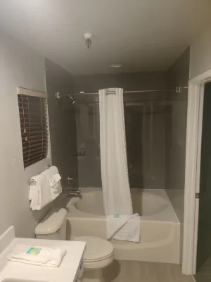 Alexis Park All Suite Resort Rooms Photos