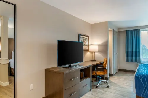 Comfort Inn & Suites Miami International Airport Rooms Photos