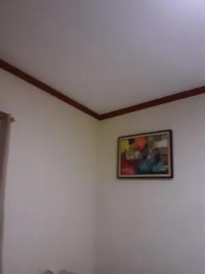 Hotel Delta Sinar Mayang Kamar Photos