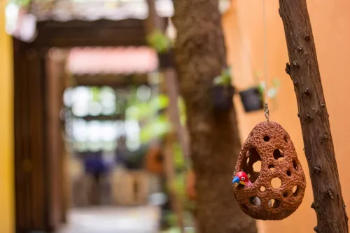 Changmoi House (Little Village) Photos