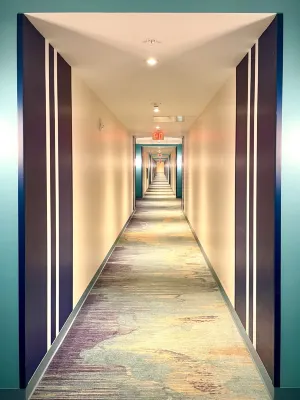 Universal’s Endless Summer Resort – Surfside Inn and Suites Public Areas Photos