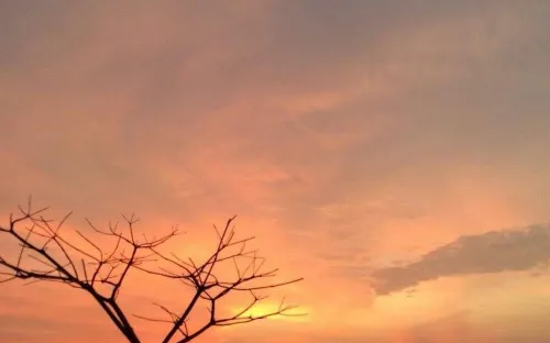 ซีไพน์ วิลลา ลีเบิร์ก ใกล้โรงแรม  Photos