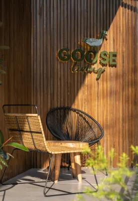 Goose Living Espaces publics Photos
