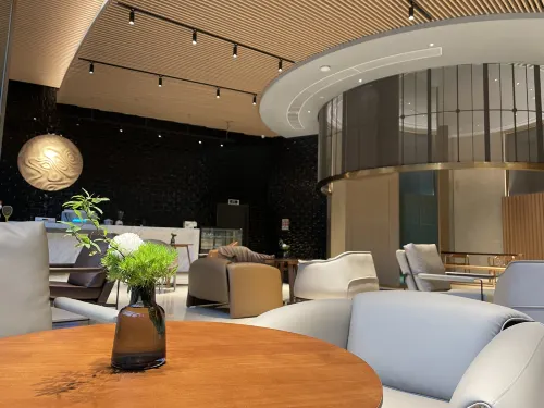 Grand Skylight Garden Hotel Shenzhen Aree comuni Photos