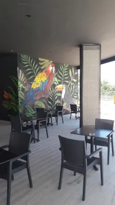 Cender Hotel Yleiset tilat Photos