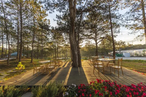Rừng Lá Kim Resort Nổi bật Photos