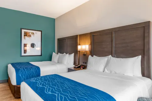 Comfort Inn & Suites Miami International Airport Rooms Photos