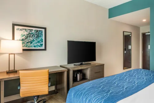 Comfort Inn & Suites Miami International Airport Rooms Photos