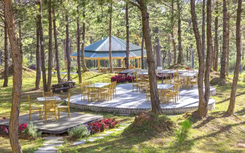 Rừng Lá Kim Resort Nổi bật Photos