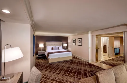 Treasure Island – TI Las Vegas Hotel  & Casino Featured Photos