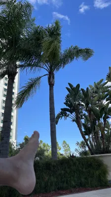 Hilton Orlando À proximité de l'hôtel Photos