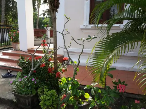A Tee Guesthouse Photos