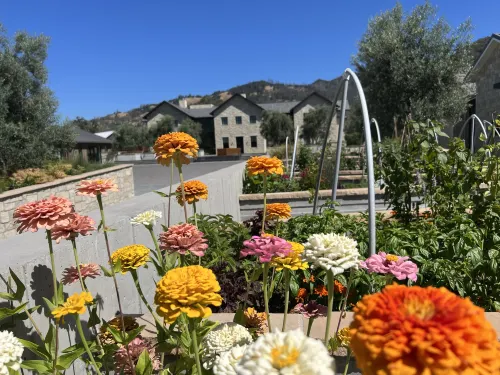 Four Seasons Resort Napa Valley Near Hotel Photos