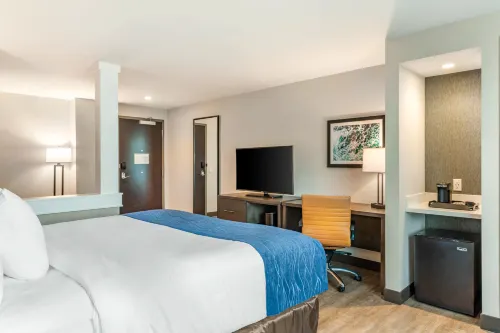 Comfort Inn & Suites Miami International Airport Rooms Photos