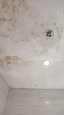 The Noble Hotel Rooms Photos