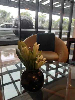 Pullman New Delhi Aerocity- International Airport Espaces publics Photos