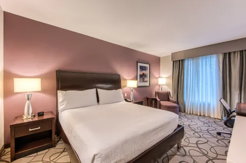 Hilton Garden Inn Irvine/Orange County Airport Rooms Photos