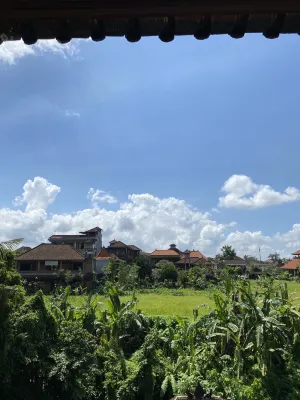 Meruhdani Boutique Hotel Ubud Espaces publics Photos