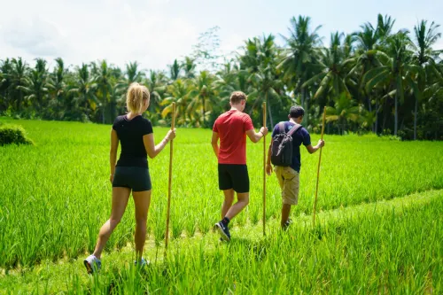 Tejaprana Bisma Ubud Bali Near Hotel Photos