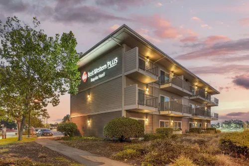 Best Western Plus Bayside Hotel Empfohlen Photos