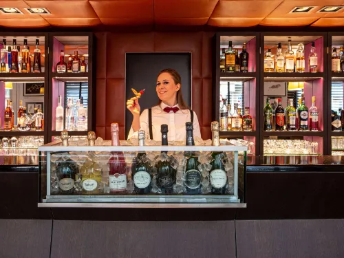 Sofitel Strasbourg Grande Île Loisirs et amusements Photos