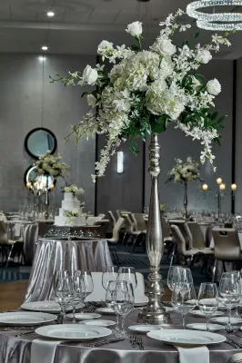 Le Méridien St. Louis Clayton Dining Photos
