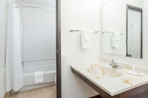 Super 8 by Wyndham Grand Junction Colorado Rooms Photos