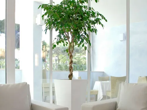 Mercure Rimini Lungomare Питание Photos