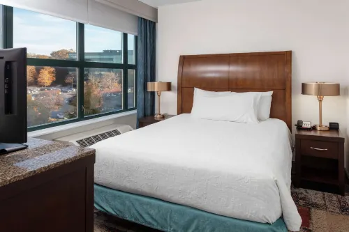 Hilton Garden Inn Atlanta Perimeter Center Chambres Photos