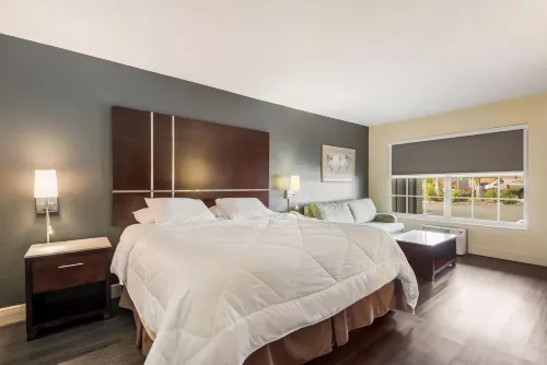 SureStay Hotel by Best Western Sarasota Lido Beach Rooms Photos