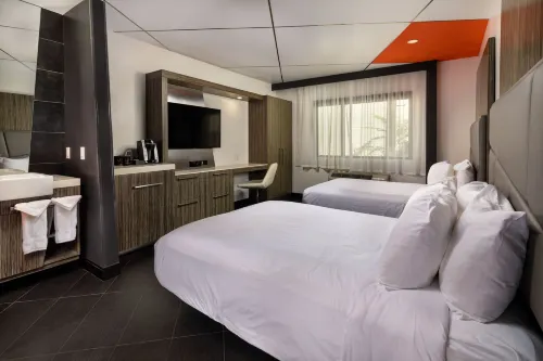 The Moment Hotel Rooms Photos