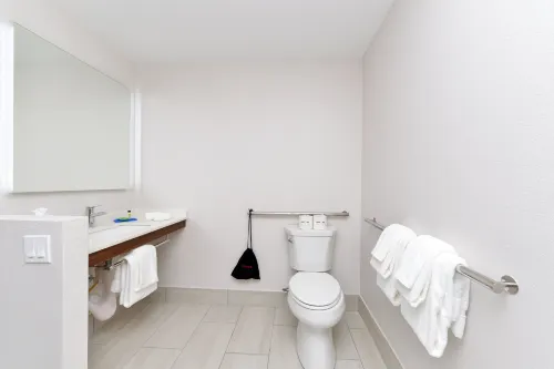 Holiday Inn Express Orlando - South Park Camere Photos