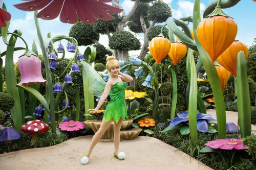 Hong Kong Disneyland Hotel Near Hotel Photos