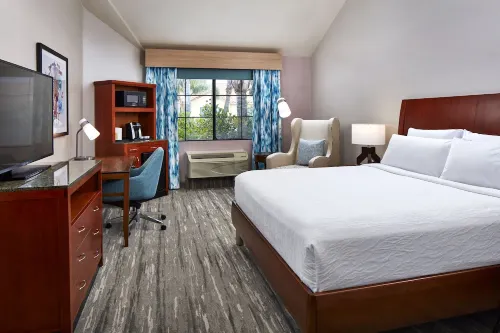 Hilton Garden Inn Valencia at Six Flags Camere Photos
