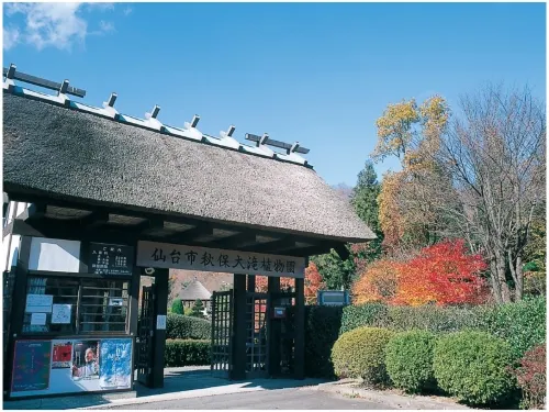 Dormy Inn Sendai Station Natural Hot Springs À proximité de l'hôtel Photos
