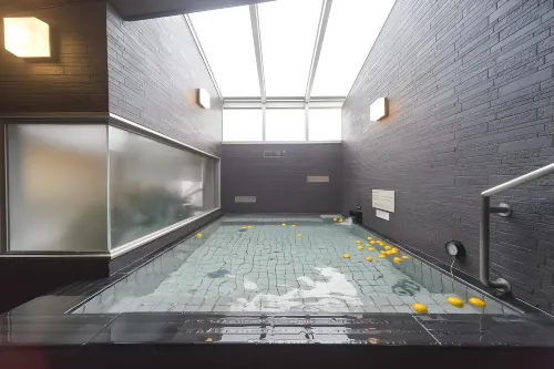 Dormy Inn Premium Shibuya Jingumae Hot Spring Loisirs et amusements Photos