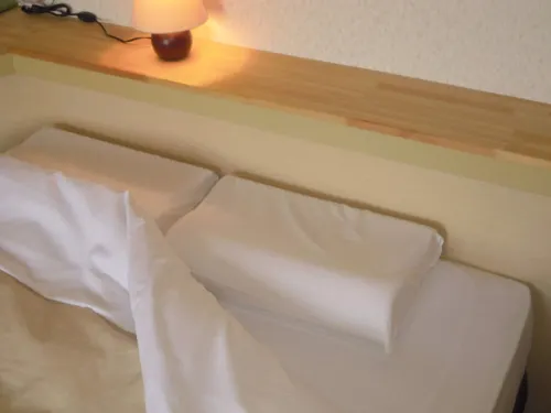 Niigata Park Hotel Chambres Photos