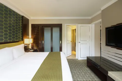 Holiday Inn Singapore Orchard City Centre Rum Photos