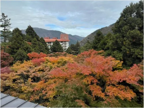 Mizunoto Near Hotel Photos