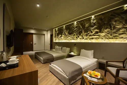 The Erzurum Hotel Chambres Photos