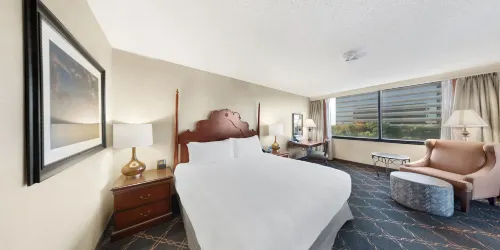 Austin Southpark Hotel Værelser Photos