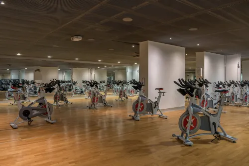 Hilton Geneva Hotel and Conference Centre Benessere e tempo libero Photos
