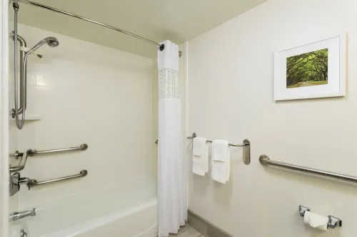 Hampton Inn & Suites Atlanta/Duluth/Gwinnett County Chambres Photos